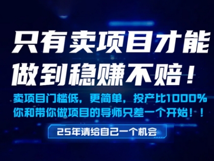只有卖项目才能做到稳挣不赔，门槛低，更简单，你也可以年入百个W【揭秘】-来友网创