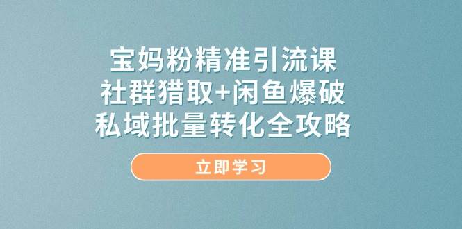 宝妈粉精准引流课，社群猎取+闲鱼爆破，私域批量转化全攻略-来友网创