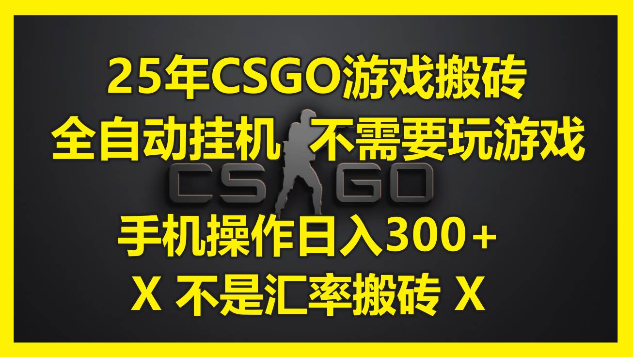 （14902期）25年CSGO游戏搬砖，全自动挂机，不需要玩游戏，手机操作日入300+。(不…-来友网创