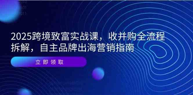 2025跨境致富实战课，收并购全流程拆解，自主品牌出海营销指南-来友网创