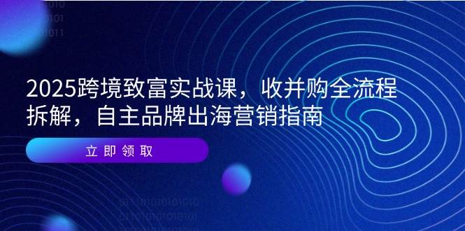 （14975期）2025跨境致富实战课，收并购全流程拆解，自主品牌出海营销指南-来友网创