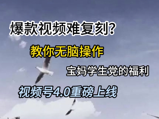 视频号4.0重磅上线，爆款视频难复刻？教你无脑操作宝妈学生党的福利【揭秘】-来友网创