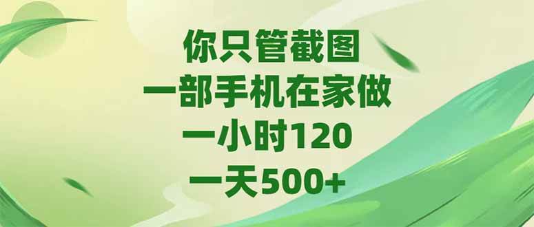 （15039期）你只管截图，一部手机在家做，一小时120，-天500+-来友网创