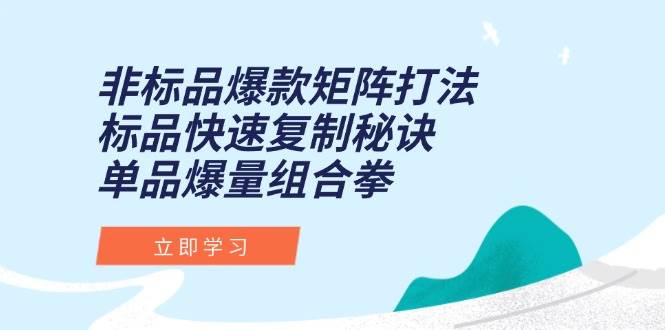 （15068期）非标品爆款矩阵打法，标品快速复制秘诀，单品爆量组合拳-来友网创