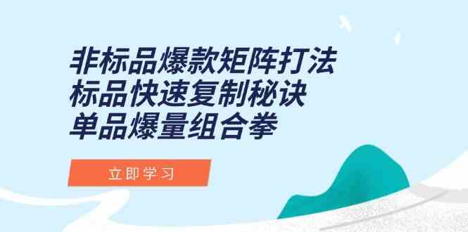 非标品爆款矩阵打法，标品快速复制秘诀，单品爆量组合拳-来友网创