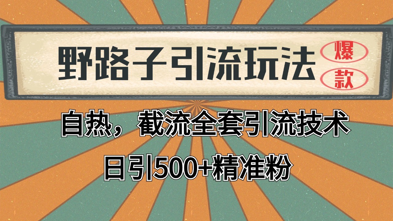 2024首发野路子引流玩法截流自热全平台打法，全自动引流【日引2000+精准客户】-来友网创