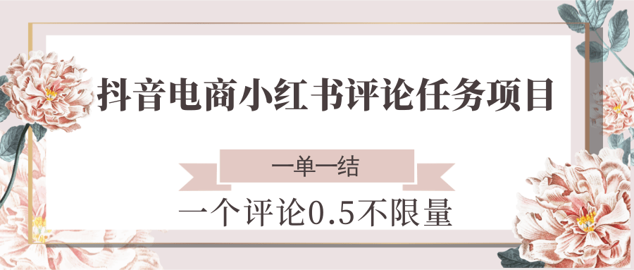 抖音电商小红书评论任务项目，一个评论0.5，一单一结 不限量-来友网创