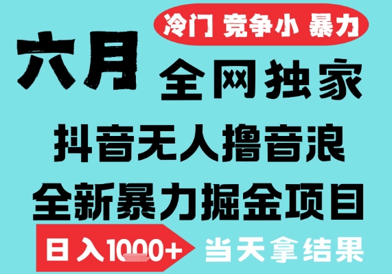 2025年6月高爆抖音无人直播最新撸音浪掘金项目，无脑日入1k+，低门槛小白可做，可矩阵放大【揭秘】-来友网创