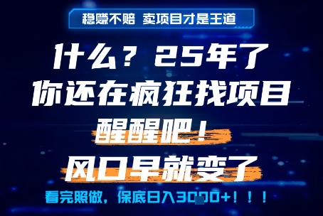 什么？25年你还在疯狂找项目做，醒醒吧，看完这些你全都懂了！【揭秘】-来友网创