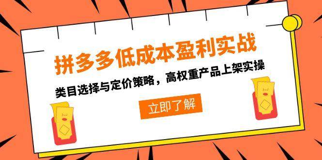 （15143期）拼多多低成本盈利实战，类目选择与定价策略，高权重产品上架实操-来友网创