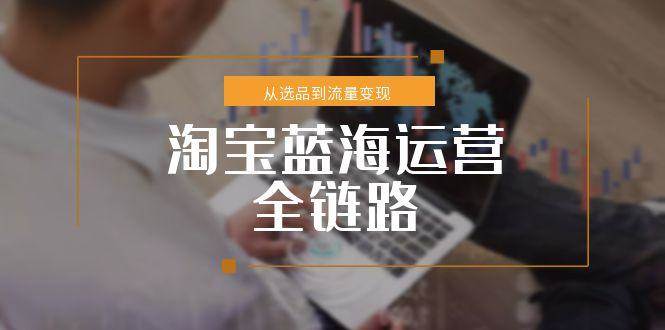 （15160期）淘宝蓝海运营全链路，从选品到流量变现，小类目突围完整方案-来友网创