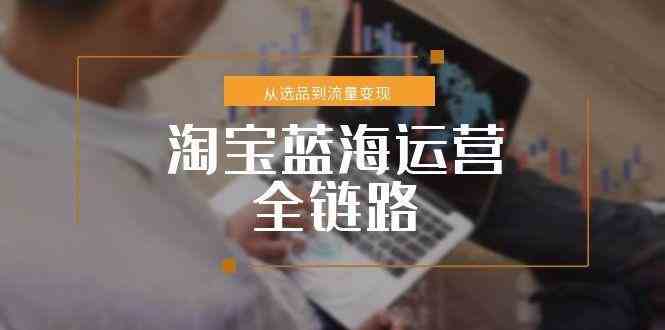 淘宝蓝海运营全链路，从选品到流量变现，小类目突围完整方案-来友网创
