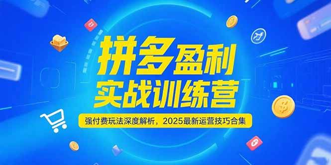 （15183期）拼多多盈利实战训练营，强付费玩法深度解析，2025最新运营技巧合集-来友网创