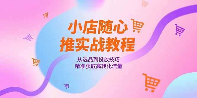 （15205期）小店随心推实战教程，从选品到投放技巧，精准获取高转化流量-来友网创