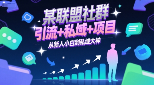 某联盟社群，引流+私域+项目，从新人小白到私域大神-来友网创