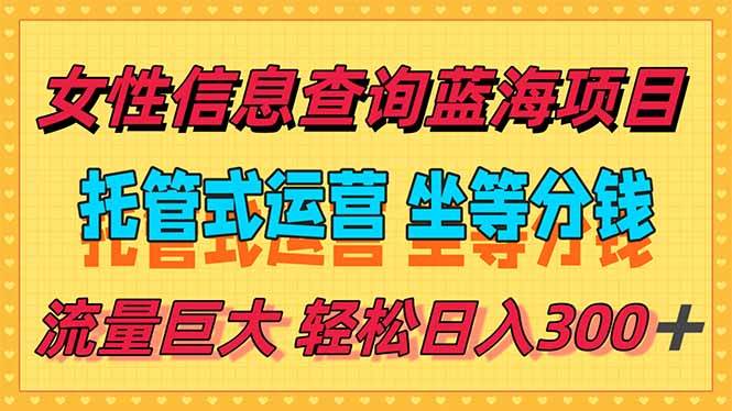 （15216期）稳定日入300＋，小众信息查询蓝海项目，全程懒人式托管，解放你的时间-来友网创