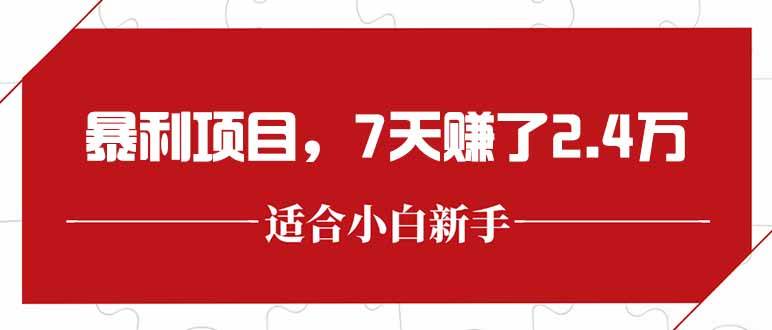 （15228期）最新暴利项目，每单收益轻松在300以上，7天赚了2.4万-来友网创