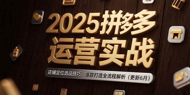 （15235期）2025拼多多运营实战：店铺定位选品技巧，爆款打造全流程解析（更新6月）-来友网创