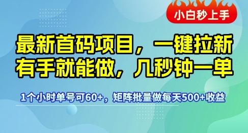 最新首码项目，一键拉新有手就能做，几秒钟一单，1个小时单号可60+，矩阵批量做每天5张【揭秘】-来友网创