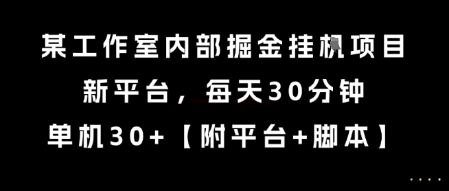 某工作室内部掘金挂G项目，新平台，每天30分钟，单机30+【揭秘】-来友网创