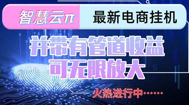 （15314期）智慧云π电脑挂机单机每天收益300—500+ 并带有团队管道收益 可无限放大-来友网创