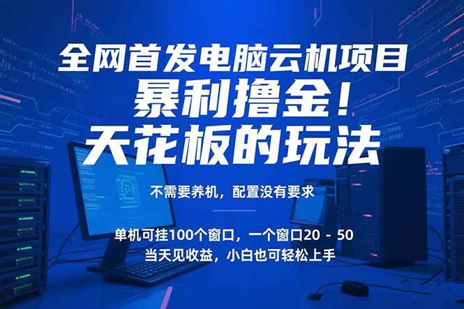 （15323期）电脑云机项目 暴力撸金玩法，不需要养机 配置没有要求 单机100个窗口一…-来友网创