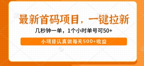最新首码项目，操作最简单，收益高，一键拉新，1个小时单号可50+，小项目认真做每天5张+收益【揭秘】-来友网创