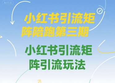 小红书引流矩阵陪跑第三期，小红书引流矩阵引流玩法-来友网创