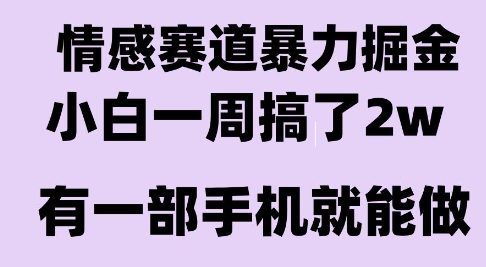 情感暴力掘金项目，新人操作一周挣了2W，长期稳定小白可做【揭秘】-来友网创