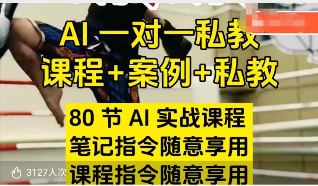 AI指令实战课，课程+案例，80节AI实战课程，笔记指令随意享用，课程指令随意享用（更新7月）-来友网创