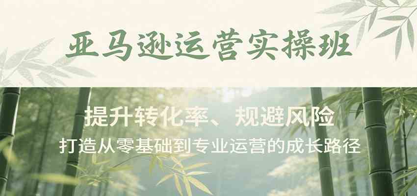 亚马逊运营实操班，提升转化率、规避风险，打造从零基础到专业运营的成长路径-来友网创