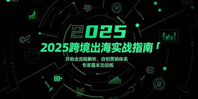（15503期）2025跨境出海实战指南，并购全流程解析，自创营销体系，专家基本功训练-来友网创