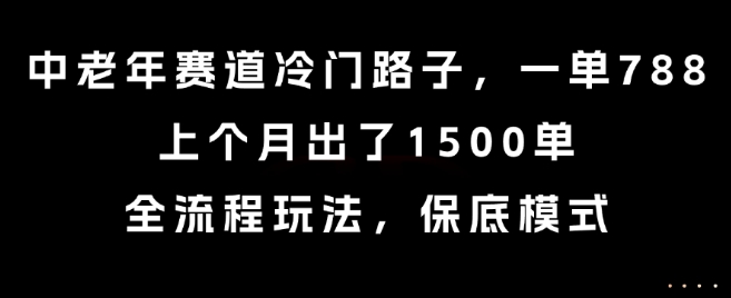 中老年赛道冷门路子，一单788，上个月出了1500单，全流程玩法，保底模式【揭秘】-来友网创