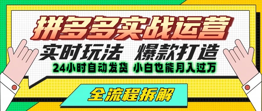 拼多多最新实战运营高投产：长久稳定项目，单店利润一天三位数-来友网创