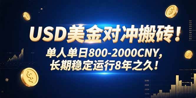 （15551期）USD美金对冲搬砖!单人单日800-2000CNY，长期稳定运行8年之久!-来友网创