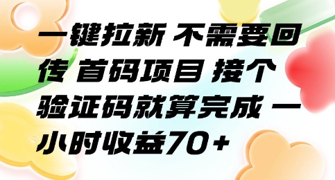 一键拉新 不需要回传 首码项目 接个验证码就算完成 一小时收益70+【揭秘】-来友网创