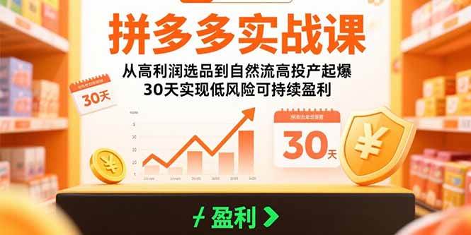 （15586期）拼多多实战课：从高利润选品到自然流高投产起爆 30天实现低风险可持续盈利-来友网创