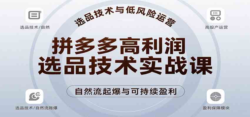 拼多多高利润选品技术实战课，手把手教学自然流高投产起爆，实现低风险可持续盈利-来友网创