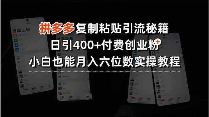 （15613期）拼多多复制粘贴引流秘籍，日引400+付费创业粉，小白也能月入六位数实操…-来友网创