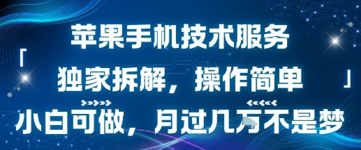 苹果手机技术服务，独家拆解，操作简单，小白可做，月过1W不是梦-来友网创