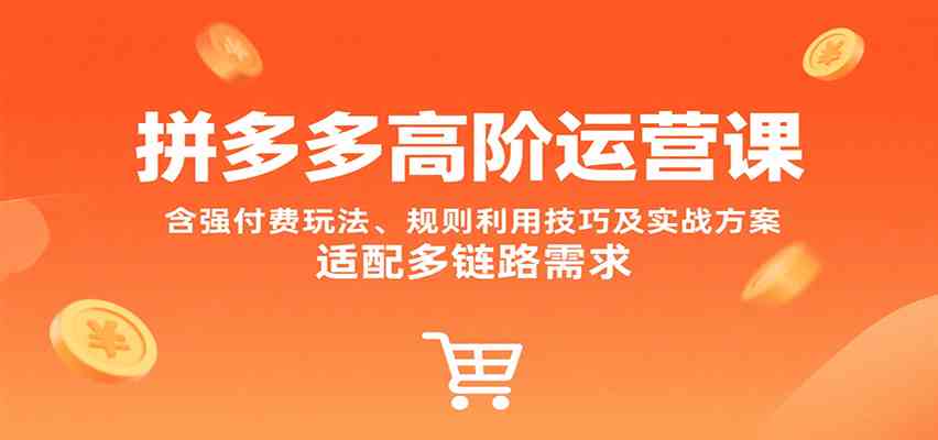拼多多高阶运营课，含强付费玩法、规则利用技巧及实战方案，适配多链路需求-来友网创
