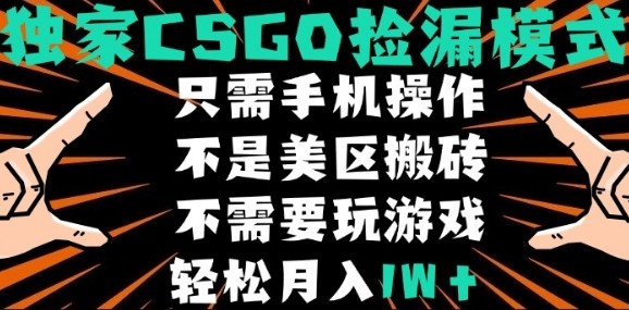 CSGO自动捡漏项目，最新独家玩法，不是美区搬砖，不需要了解和玩游戏，新手小白轻松月入1W+【揭秘】-来友网创