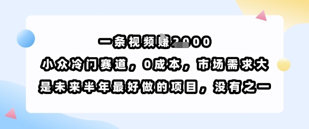 一条视频挣1k，小众冷门赛道，0成本，市场需求大，是未来半年最好做的项目，没有之一-来友网创