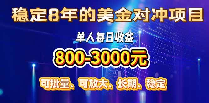 （15782期）稳定8年的美金对冲创业项目，单人每日收益800-3000，小众暴力项目-来友网创