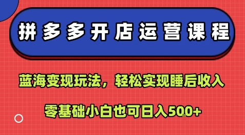 拼多多开店运营课程：蓝海变现玩法，轻松实现睡后收入，零基础小白也可日入5张-来友网创
