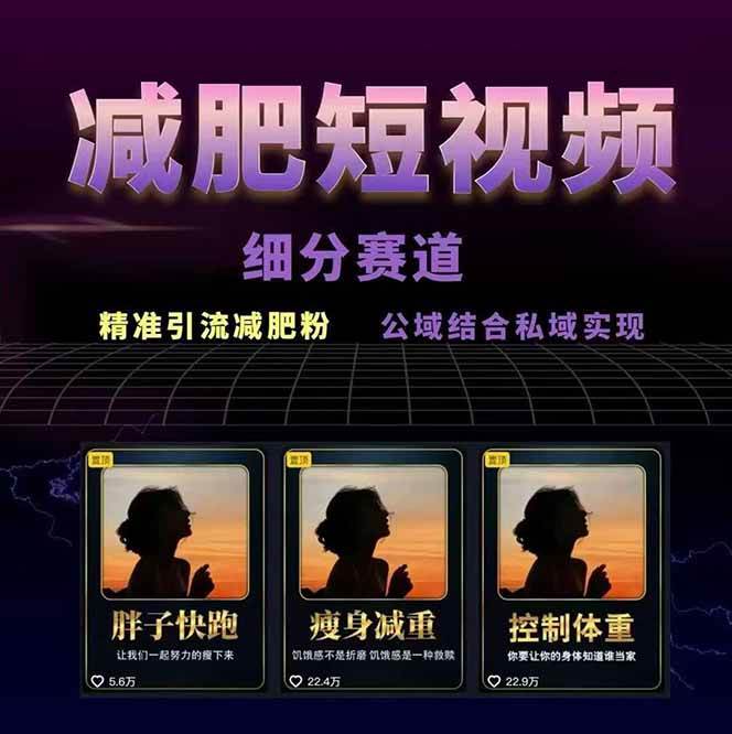 图片[2]-减肥短视频运营实战课：含素材制作、剪映教学，讲精准引流、变现设计与内容模板技巧-来友网创