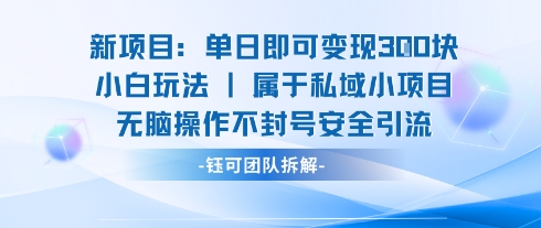新项目单日即可变现3张的小白玩法无脑操作不封号安全引流-来友网创