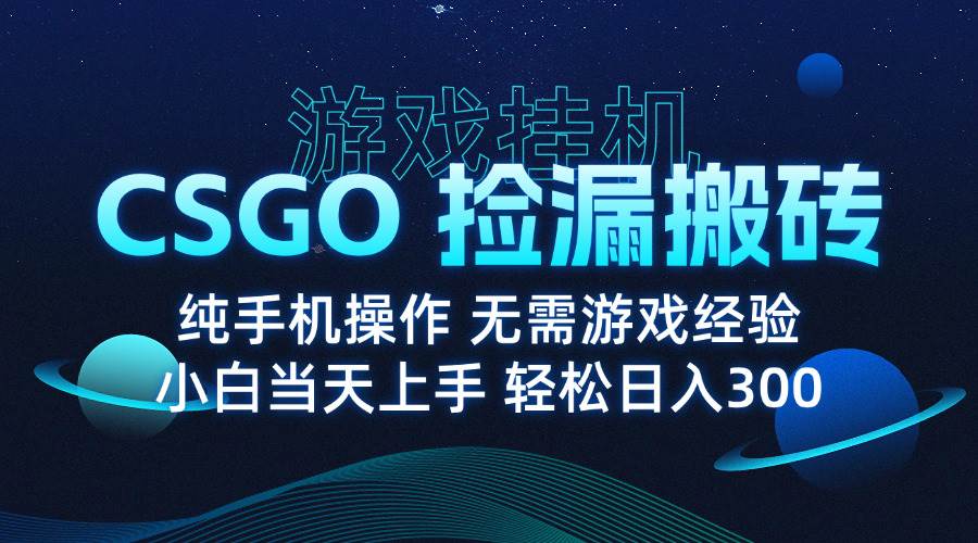 （15820期）8月最新游戏搬砖，CSGO纯挂机，不需要玩游戏，实现真挂机，月入1W+-来友网创