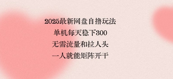 2025最新网盘自撸玩法，单机每天稳下3张，无需流量和拉人头，一个人就可轻松矩阵，全网独一份【揭秘】-来友网创