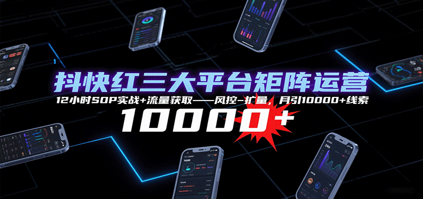 抖快红三大平台矩阵运营，12小时SOP实战+流量获取-风控-扩量，月引10000+线索-来友网创